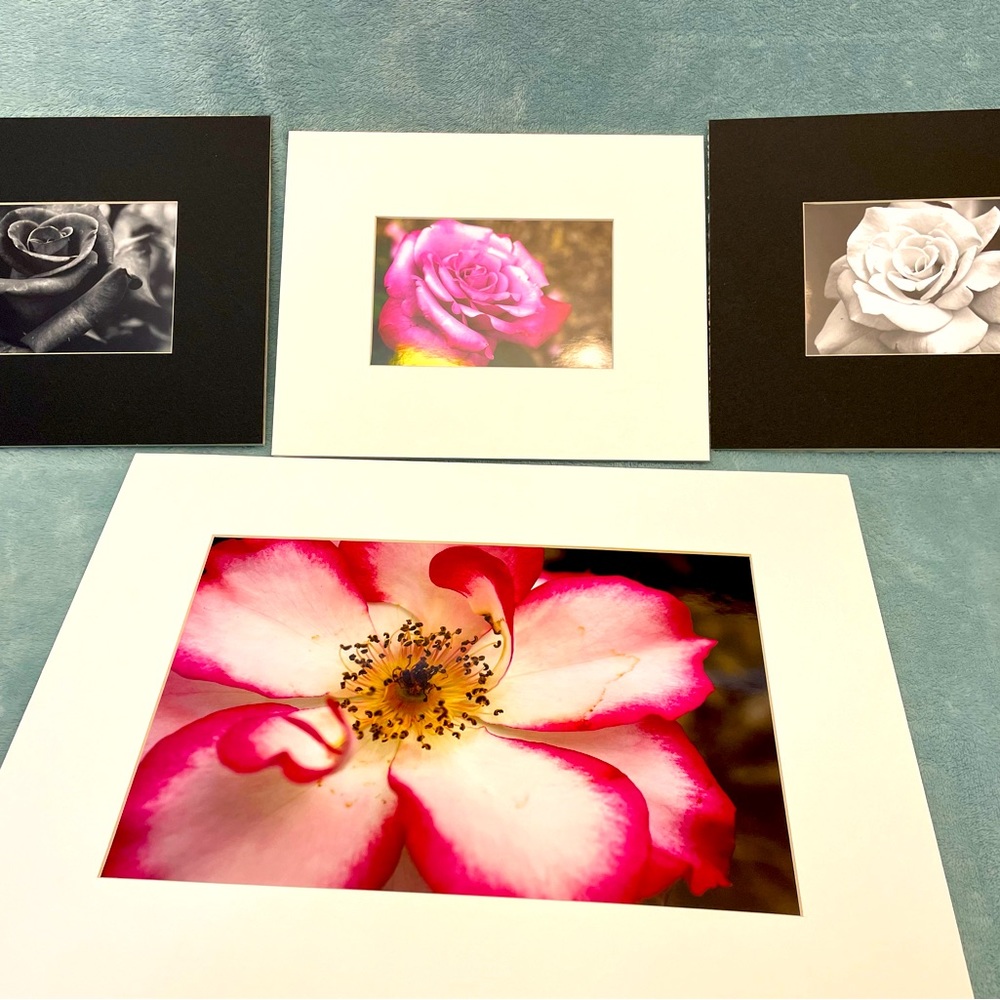 Beautiful floral photography prints with matting (no frames).